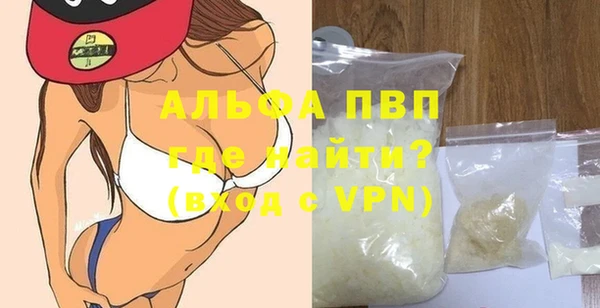 ПСИЛОЦИБИНОВЫЕ ГРИБЫ Верея