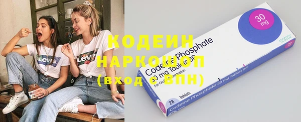 амф Верхний Тагил