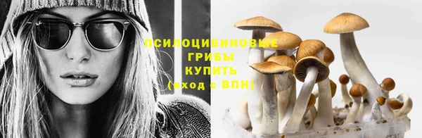 амф Верхний Тагил