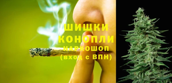 амф Верхний Тагил