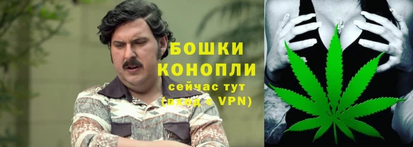 ПСИЛОЦИБИНОВЫЕ ГРИБЫ Верея