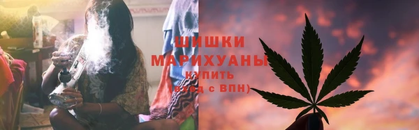 амф Верхний Тагил