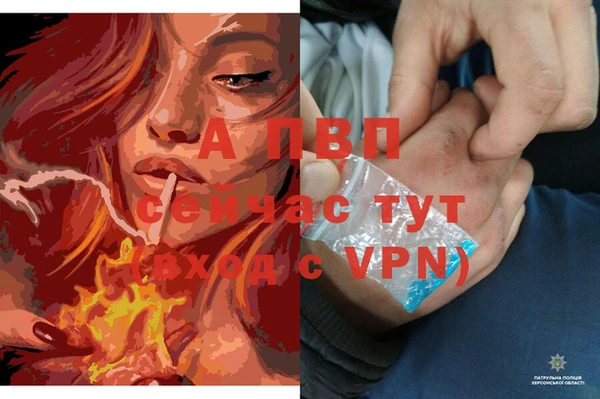 ПСИЛОЦИБИНОВЫЕ ГРИБЫ Верея