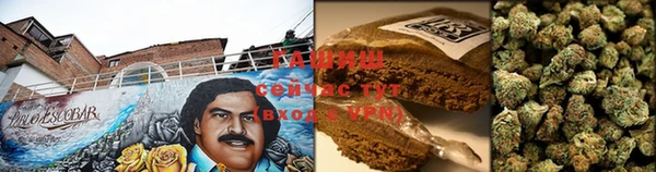 ПСИЛОЦИБИНОВЫЕ ГРИБЫ Верея