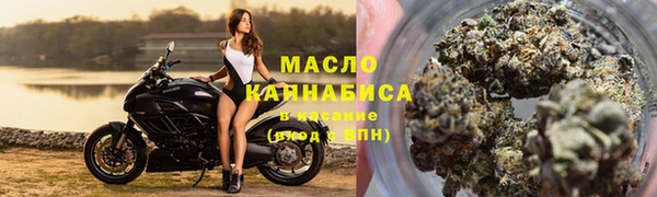 амф Верхний Тагил