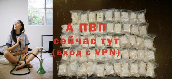 амф Верхний Тагил