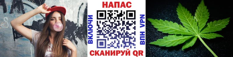 хочу наркоту  Ноябрьск  это состав  Шишки марихуана семена 